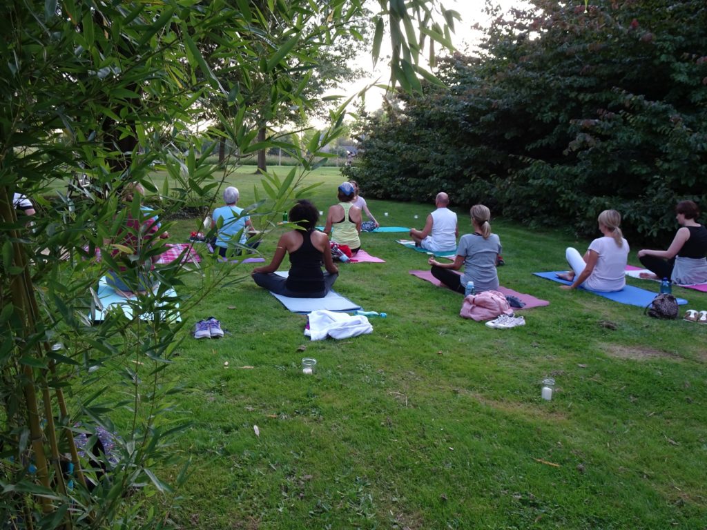 Yogagruppe übt im Freien auf einer Wiese im Park