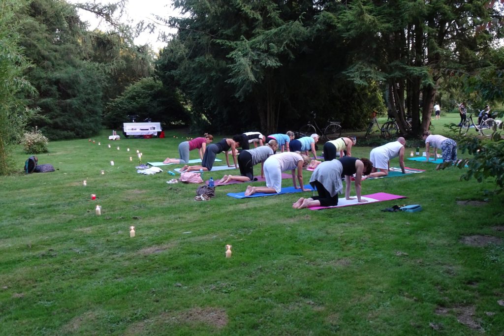 Yogagruppe übt im Freien auf einer Wiese im Park