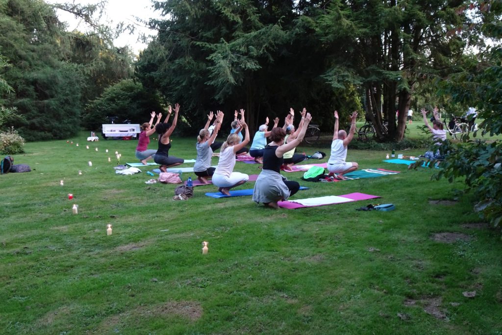 Yogagruppe übt im Freien auf einer Wiese im Park