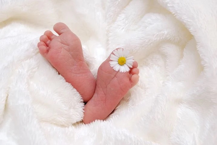 Zwei Babyfüße eingewickelt in eine Bettdecke. Zwischen zwei Zehen des Babies steckt ein Gänseblümchen.